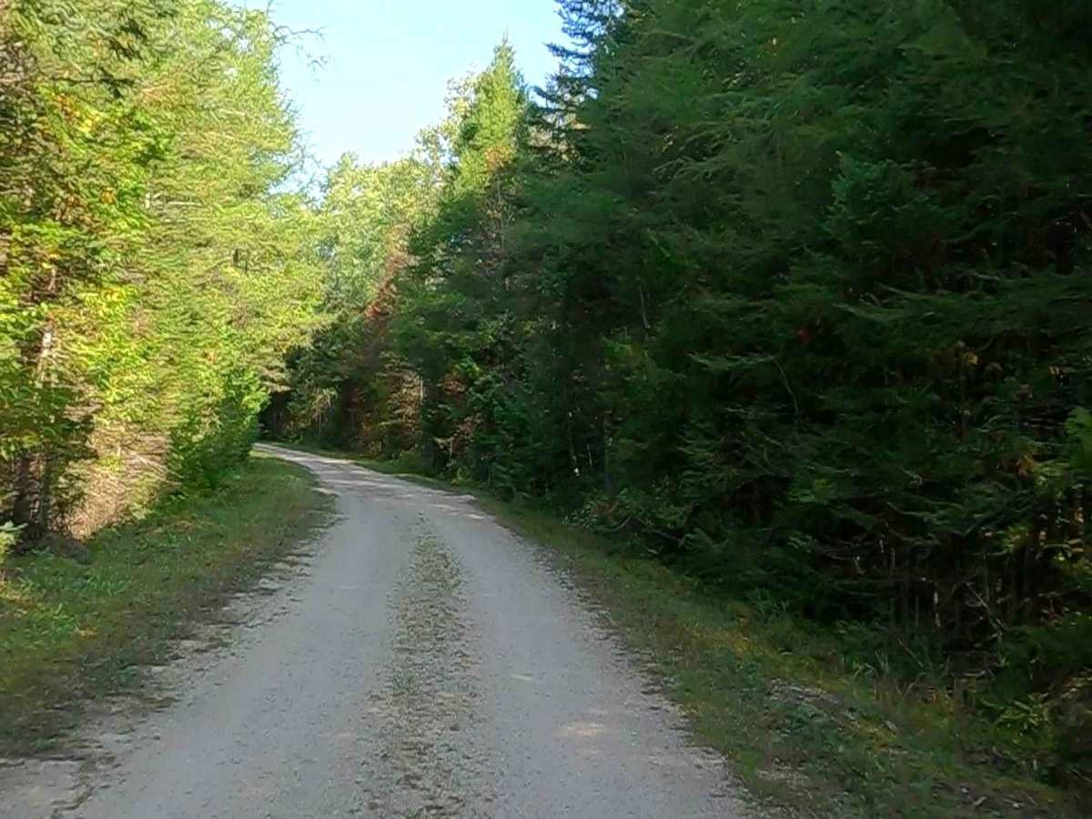 Cole (ORV Route A) - FS 3808 photo 6