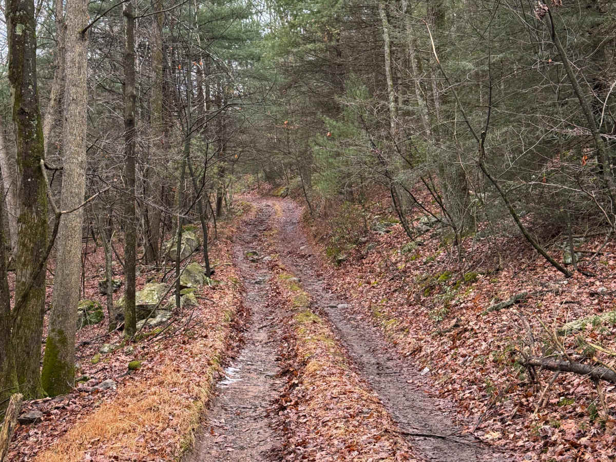 Jack's Mountain Fire Trail photo 3