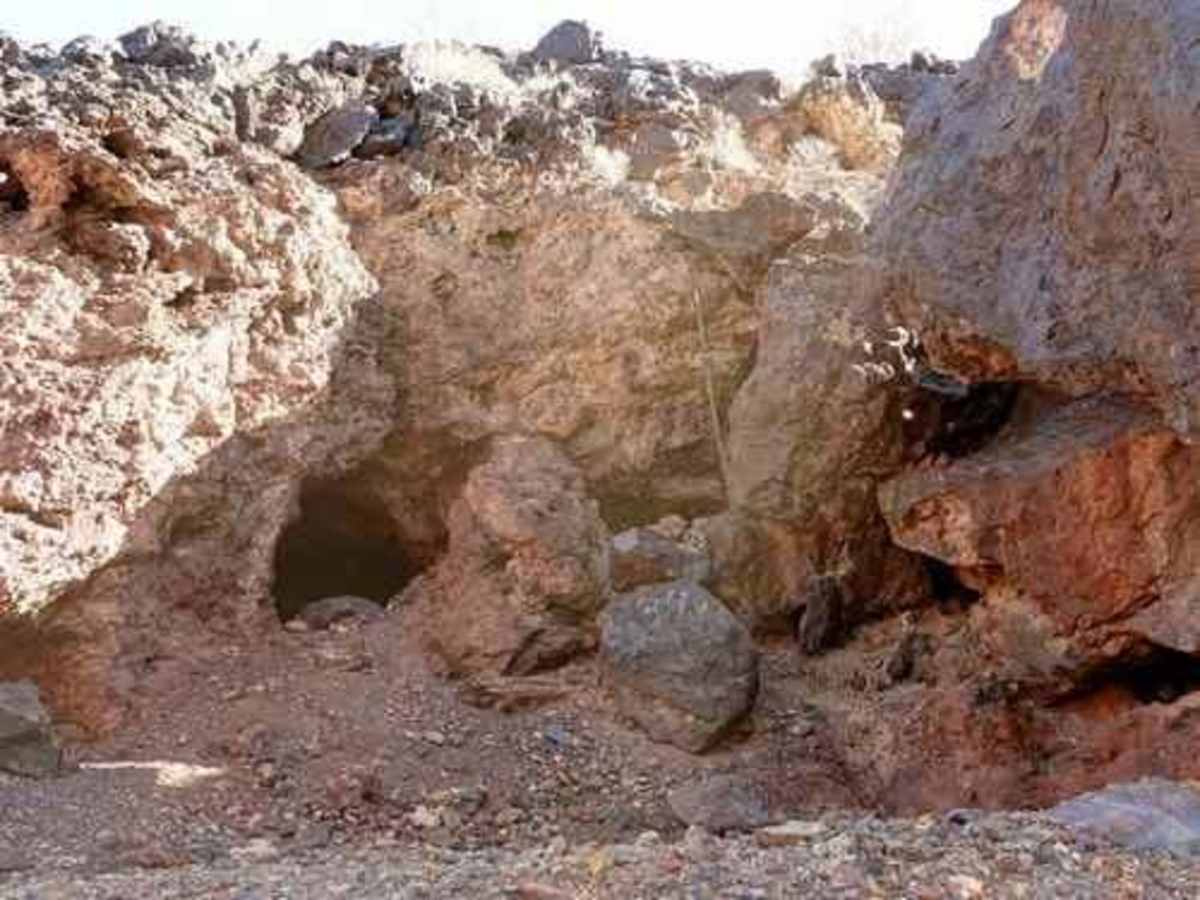 Planet Mine photo 4