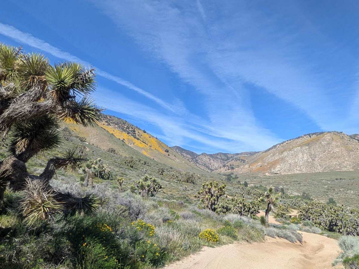 Sage Canyon Road BLM SC56 photo 2