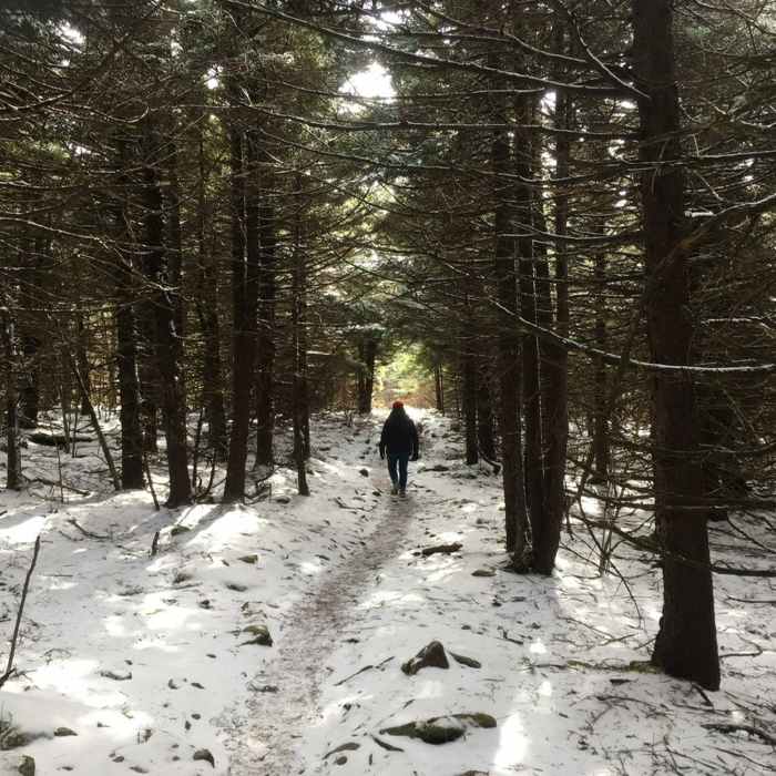 Near Spruce Knob via Huckleberry Trail