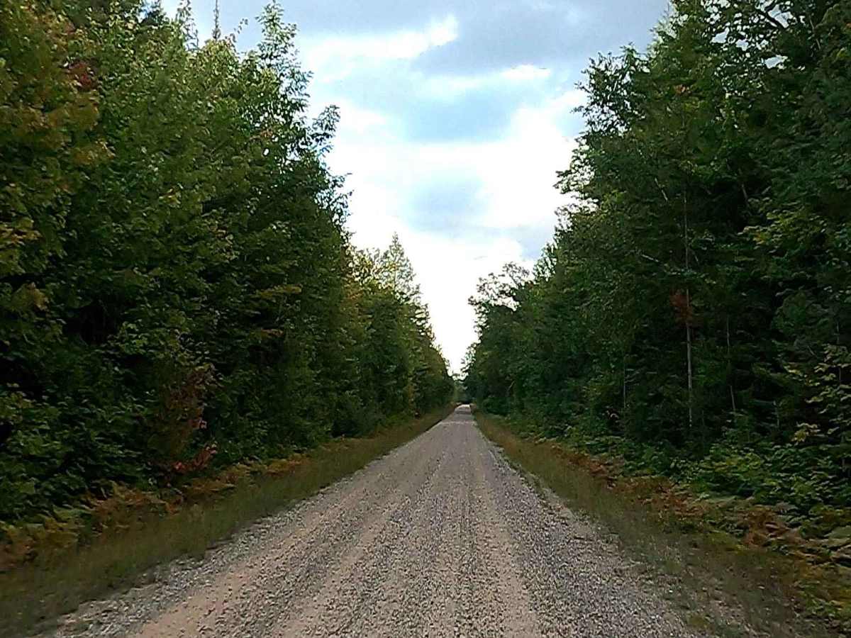 Waishkey River Truck Trail/Road - FS 3352 photo 6