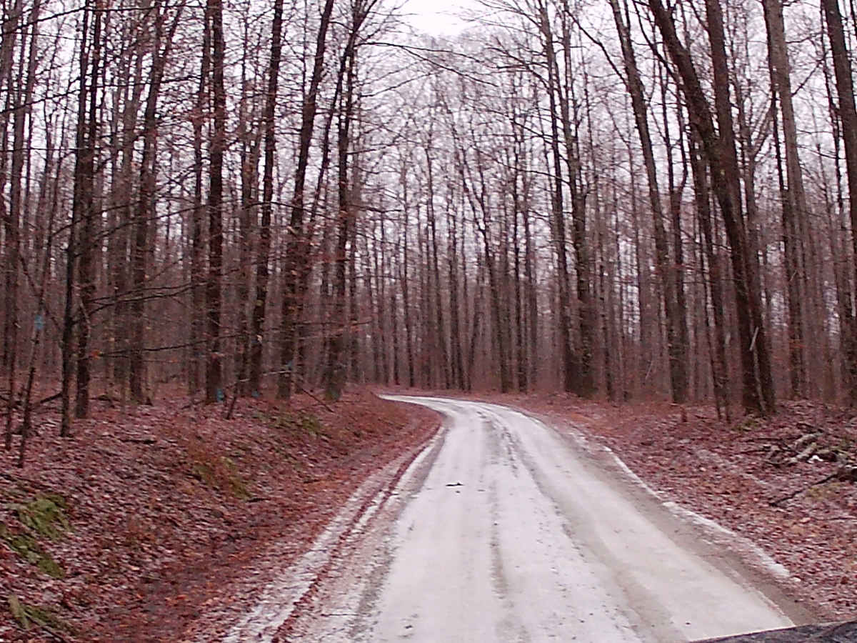 Cascade Road photo 3