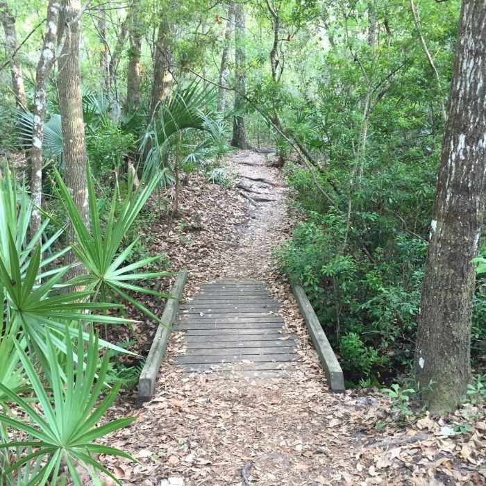 Near Sweetwater Preserve