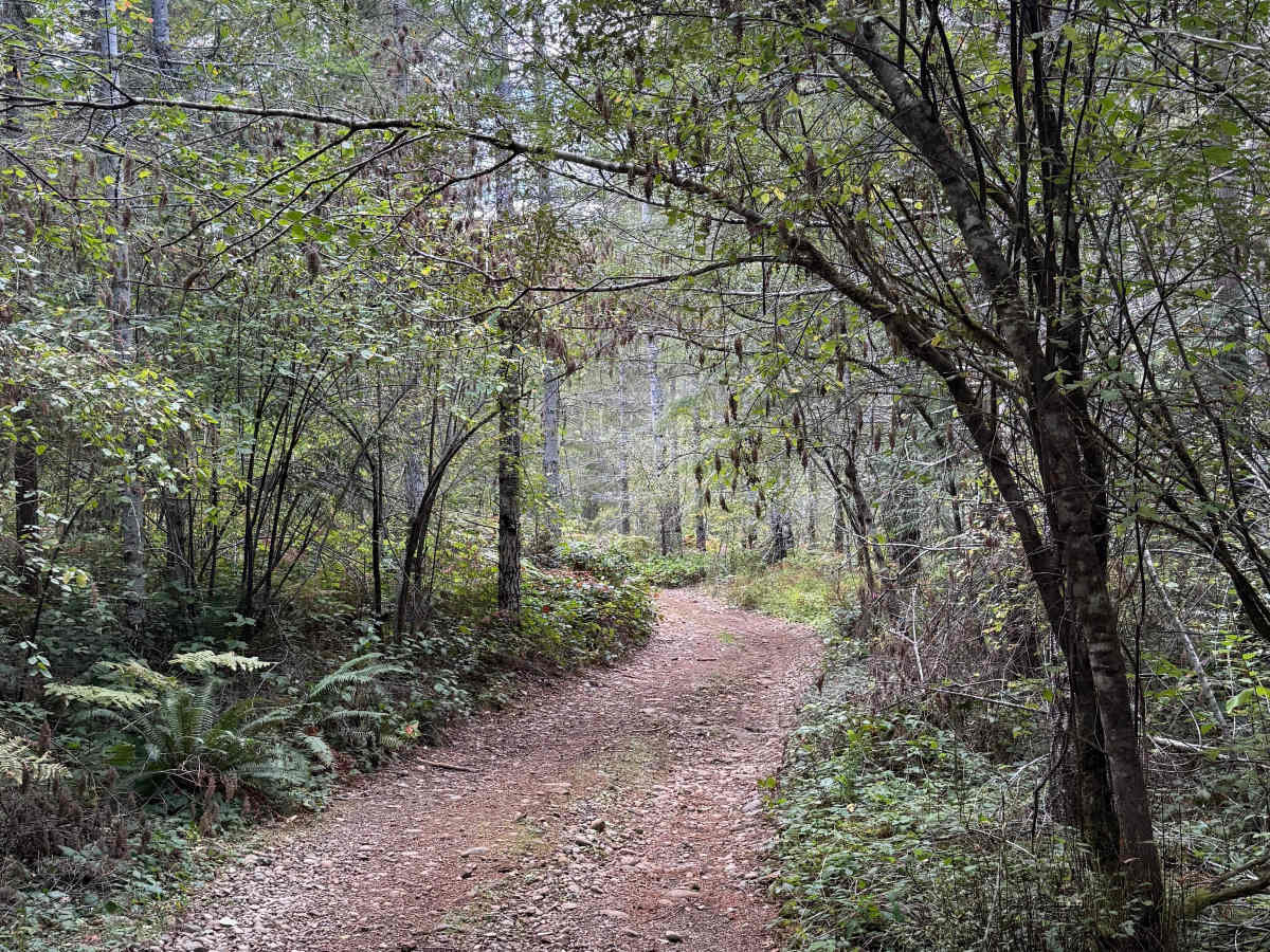 Hoodsport - North Cushman Connector photo 4