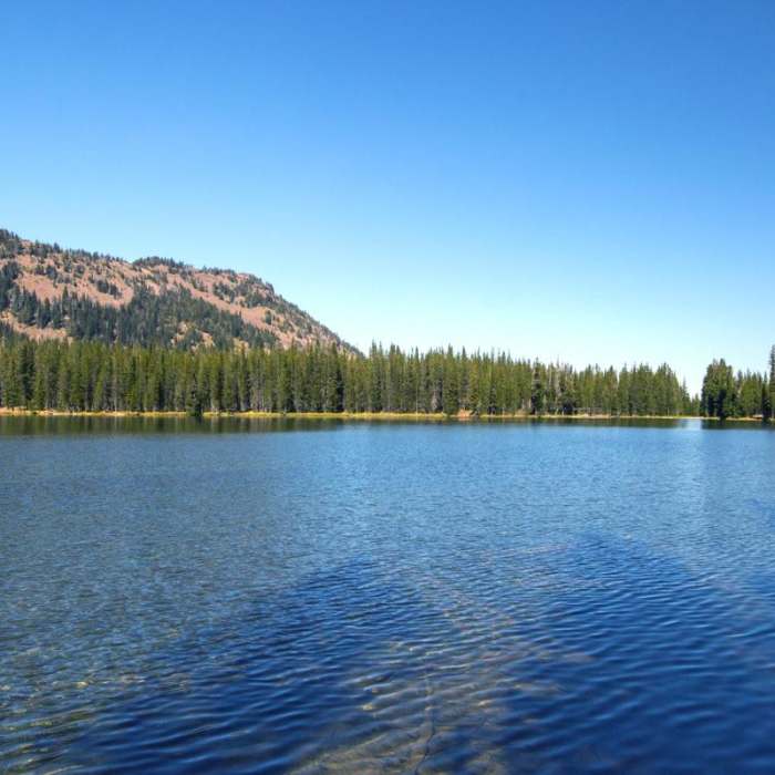 Near Strawberry Mountain Wilderness Loop