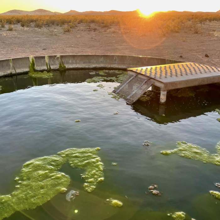 Near Continental Divide Trail : New Mexico Section 4