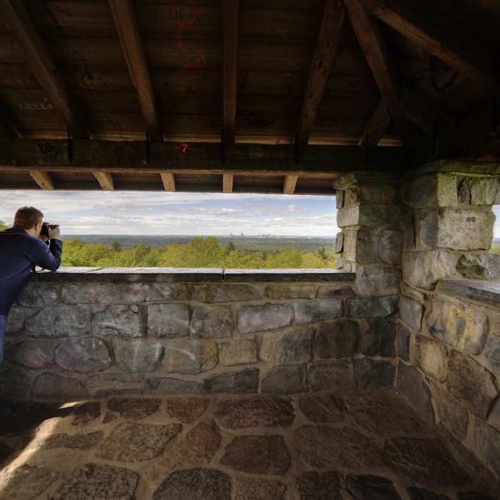 Near Blue Hills Loop