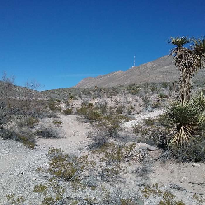 Near Palisades Canyon Access Road