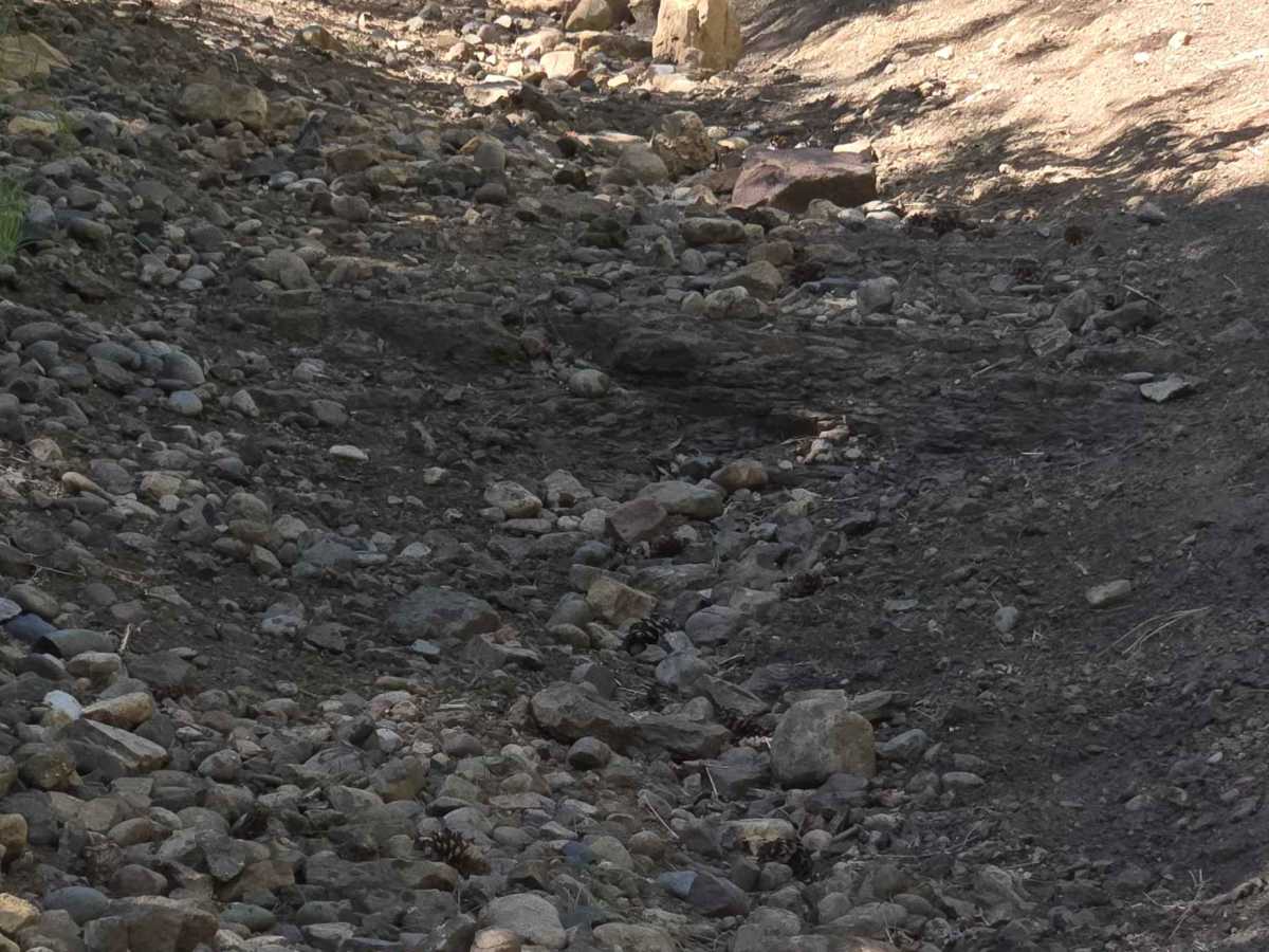 Snow Ranch ATV Trail 704 photo 4