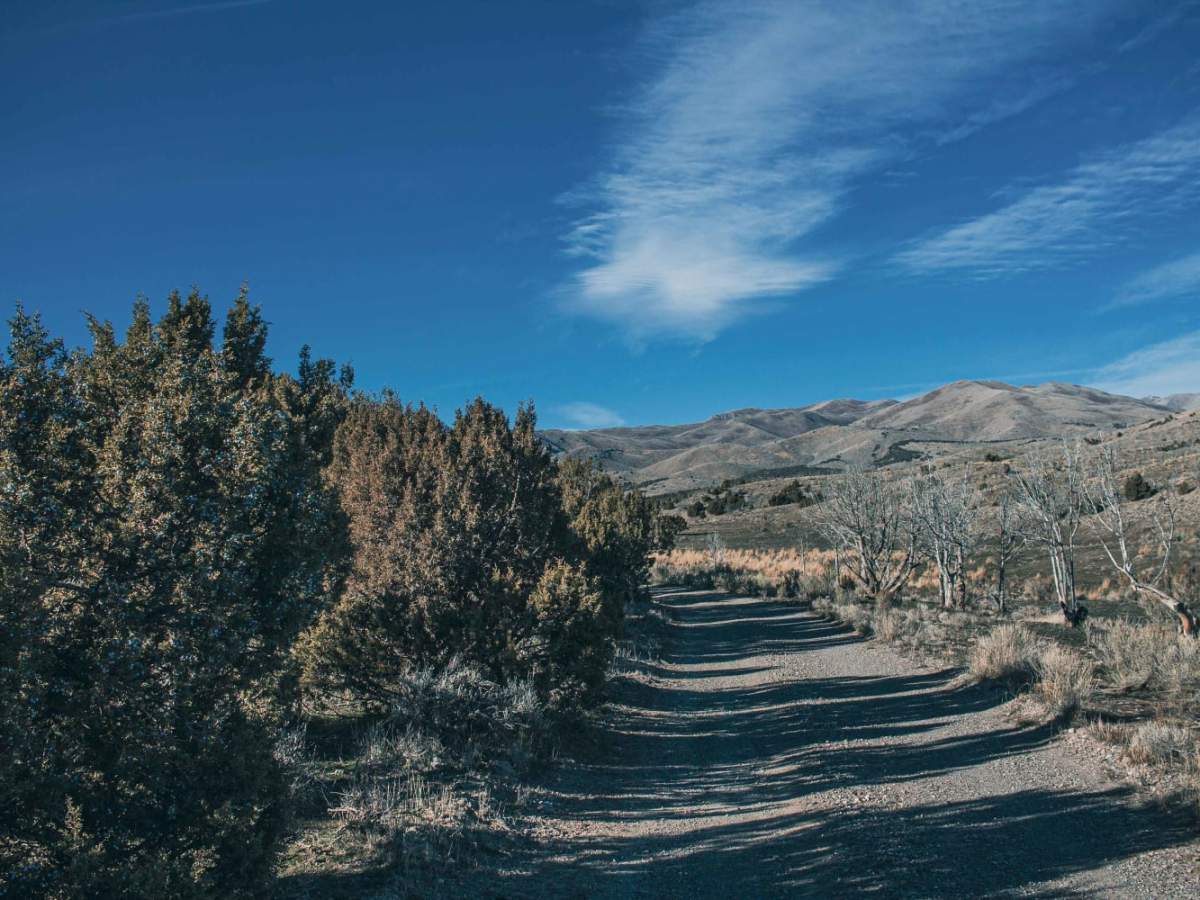 Black Pine Canyon photo 6