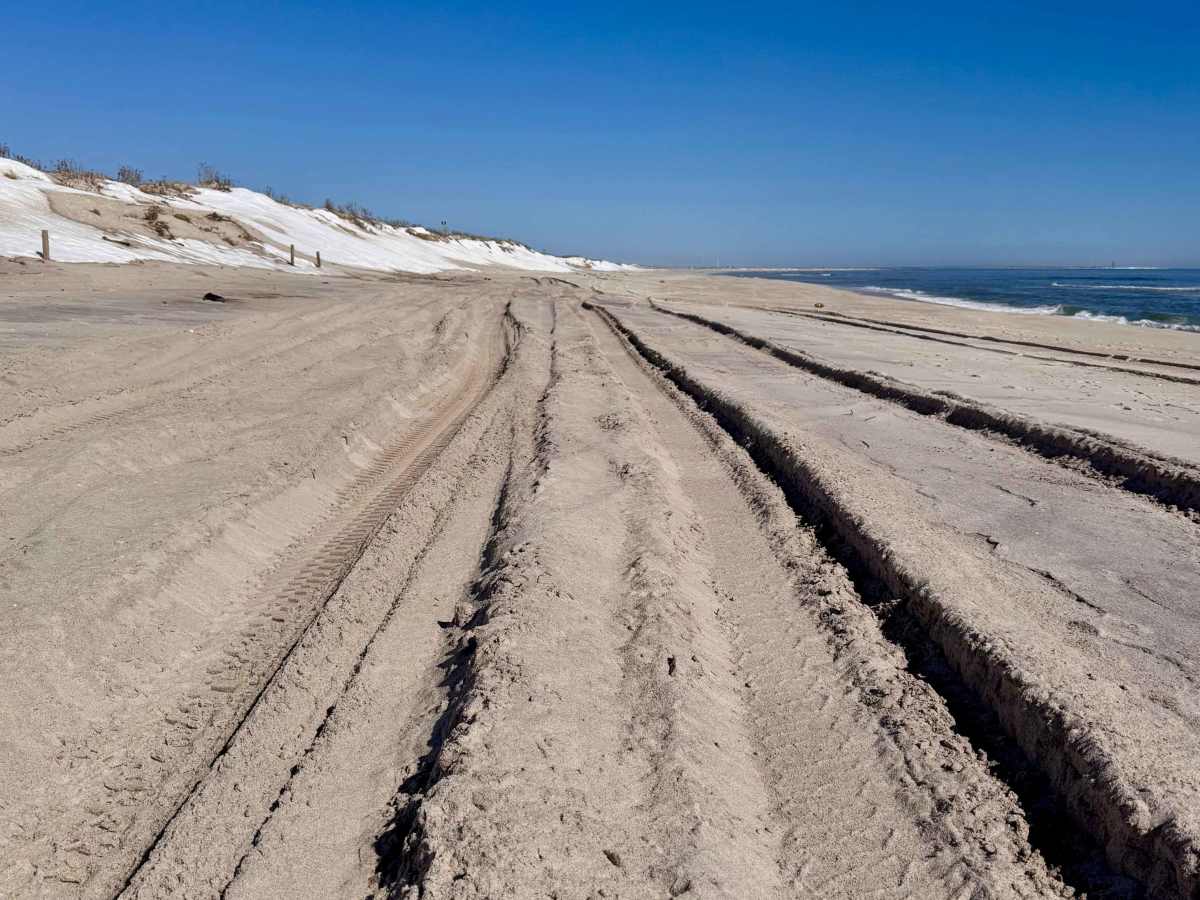 Gilgo Beach State Park 4x4 Trail photo 3