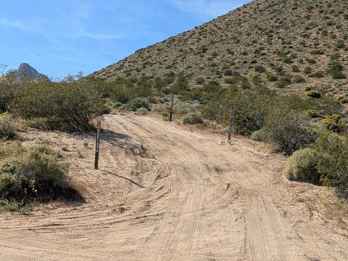 Leliter Road - BLM SE137 photo 6