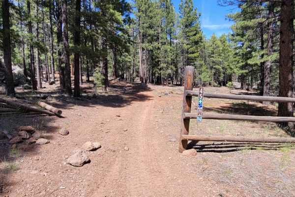 Uinta Loop 3