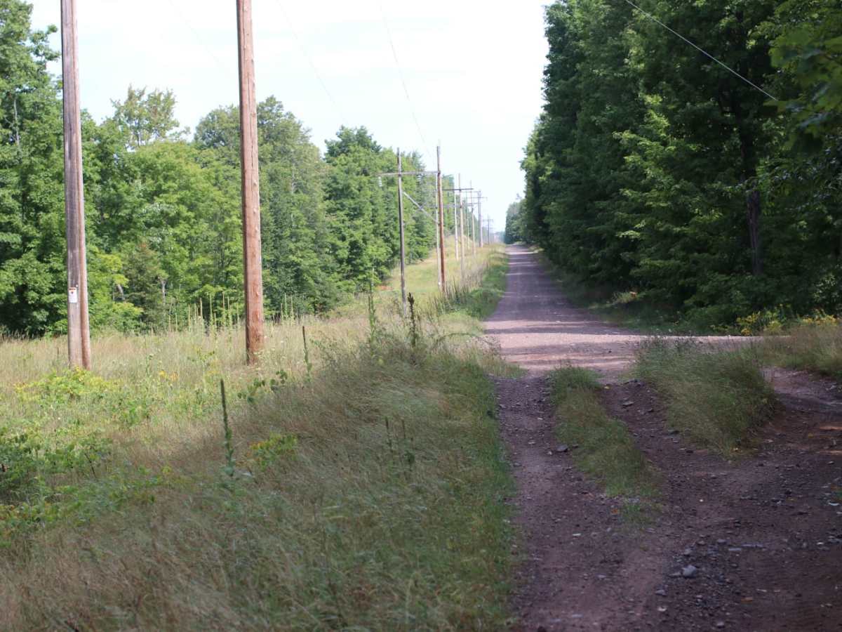 Mill Mine Trail photo 2