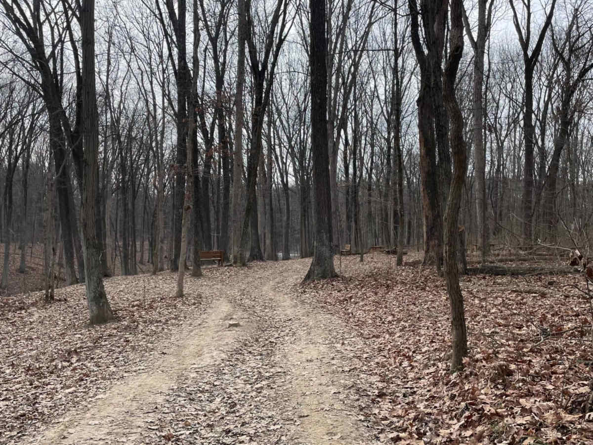 Redbird Trail 5 photo 3