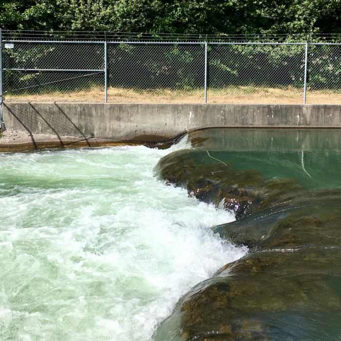 Near Stayton Riverfront Park Loop