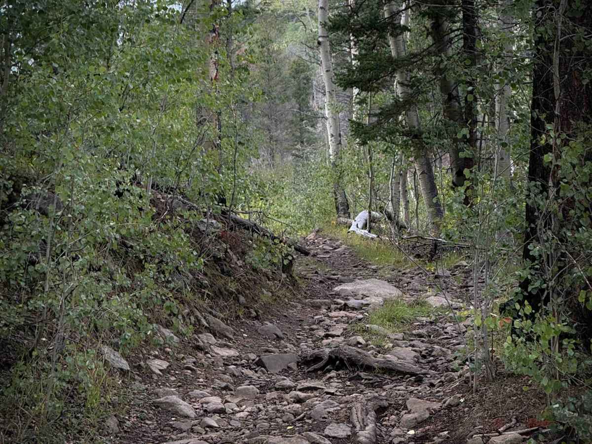 Rito Angostura Trail - FS 9A photo 3