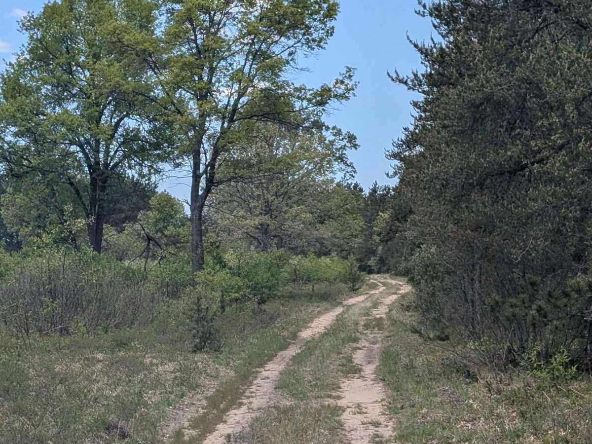 Four Point Rd SE trail photo