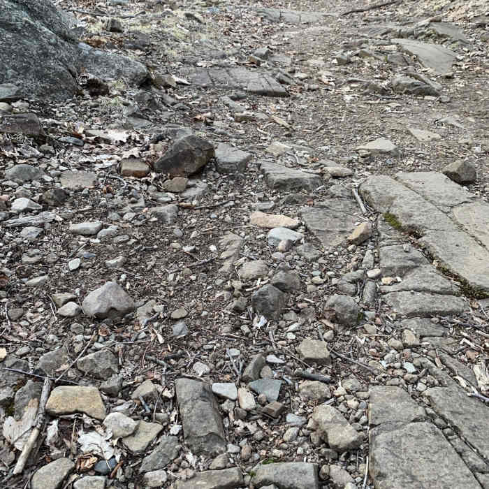 Near High Mountain Preserve Loop