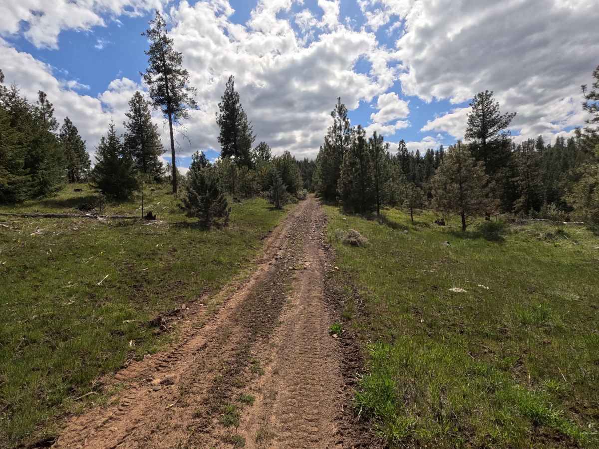 Trail G3 photo 5