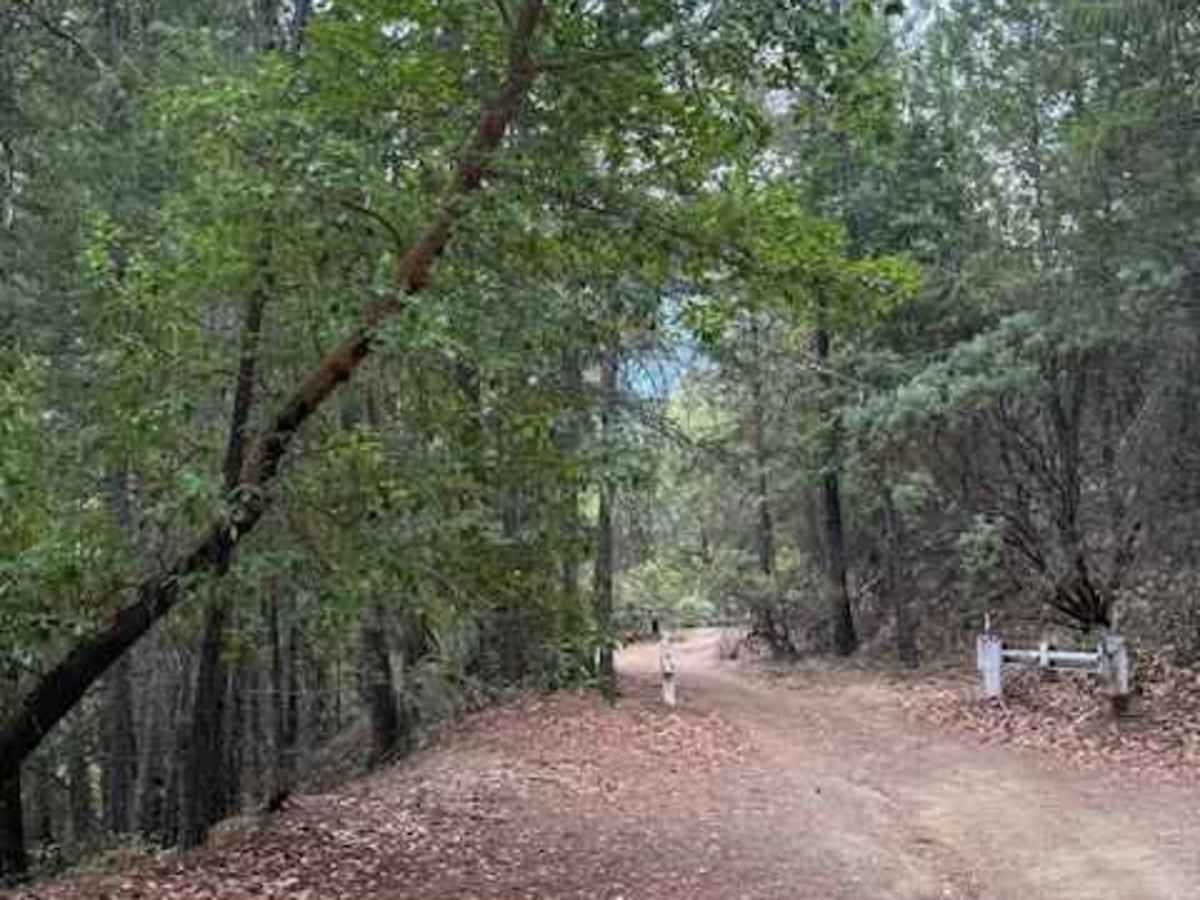 Payette Trail - FS 970 photo 2
