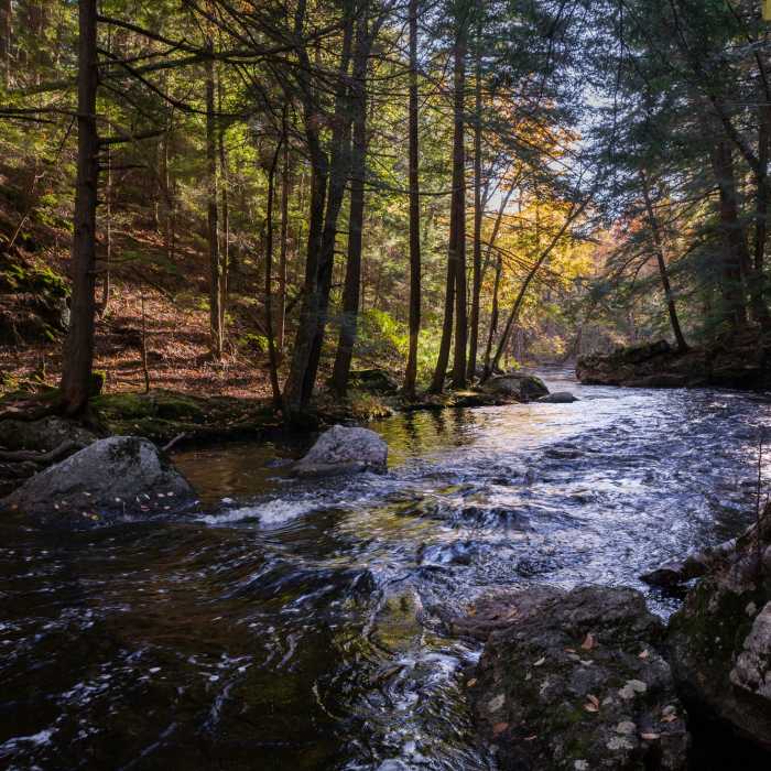 Doane's Colors Near Tully Lake Loop