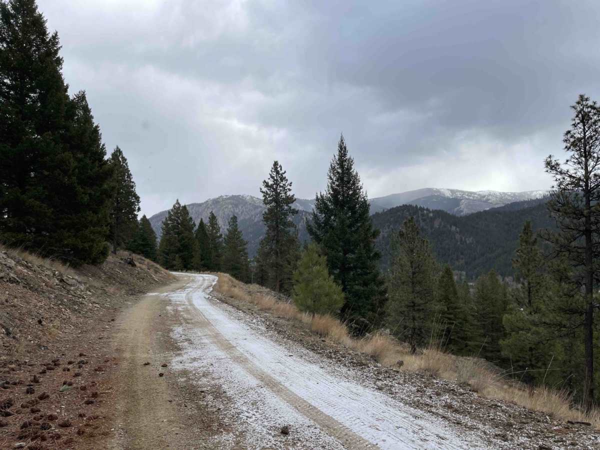 Lloyd Scenic Loop photo 6