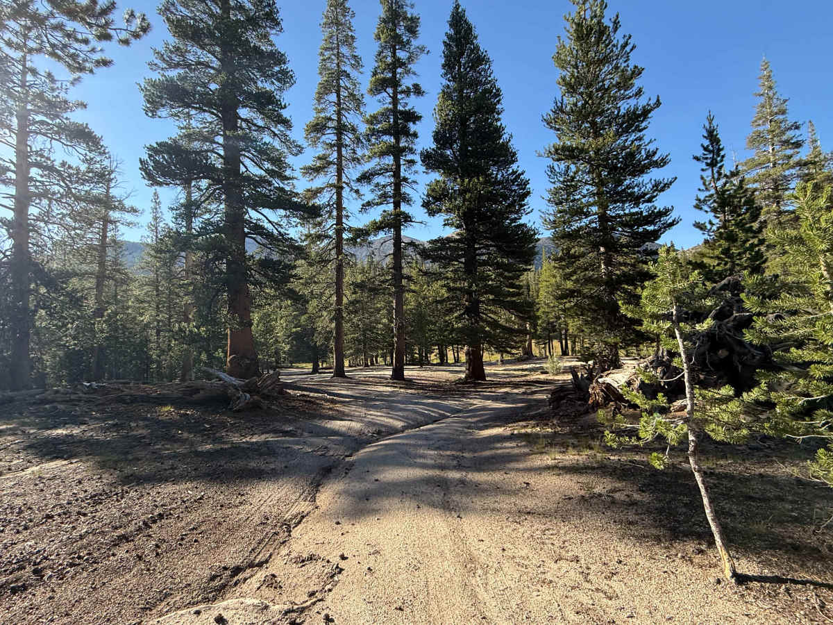 Horse Meadows Spur - FS 31051B photo 3