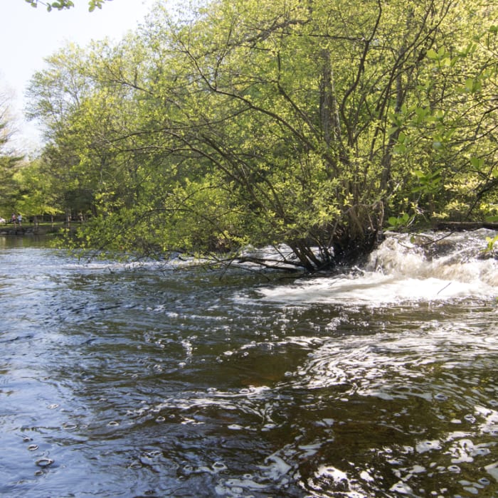 Near Orange Vista Trail Near Orange Vista Trail