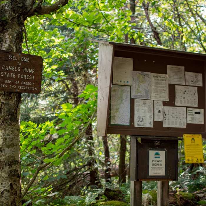 Near Mount Ellen via the Long Trail Near Mount Ellen via the Long Trail