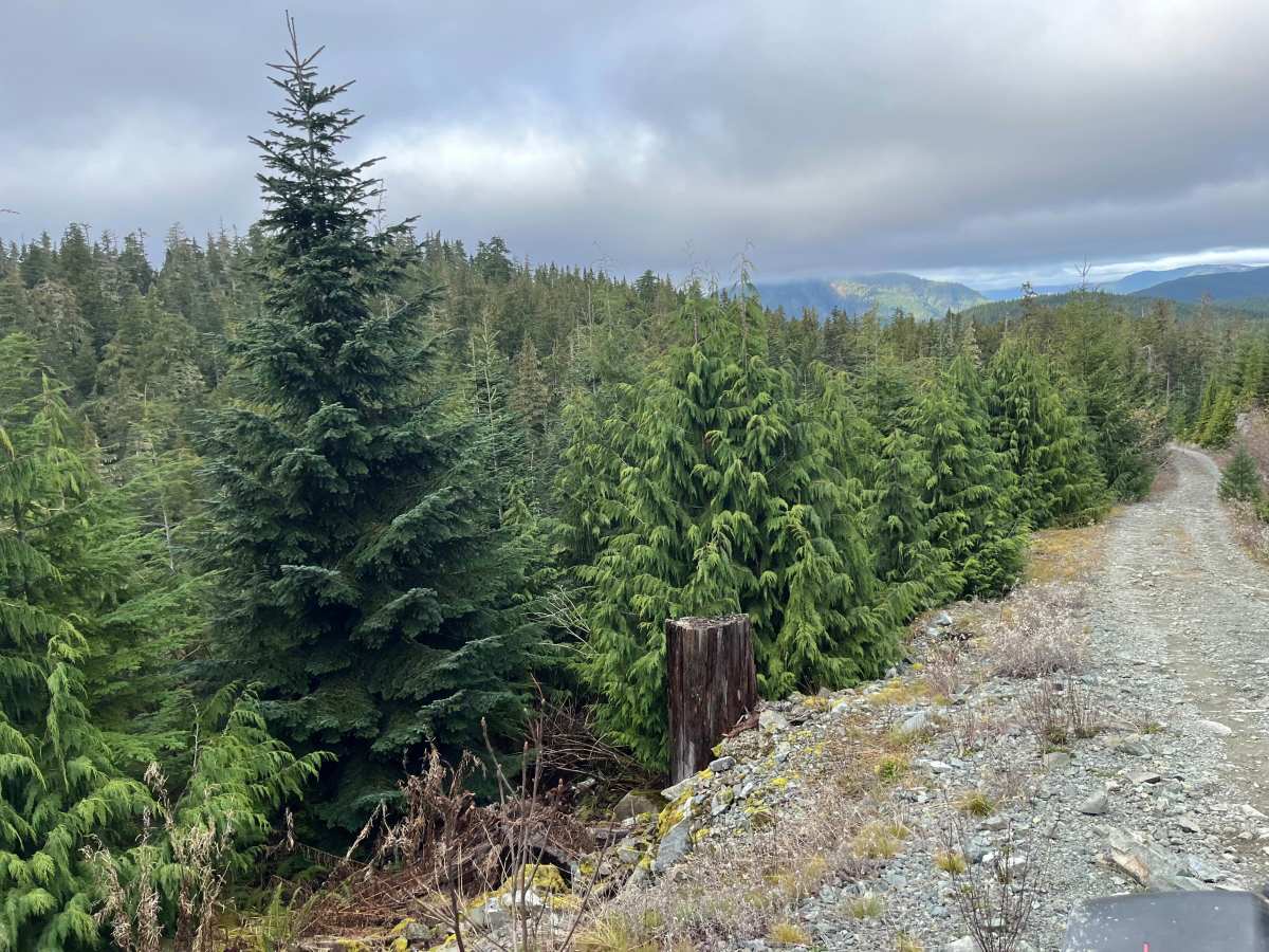 Mount Buldoc Memorial Plane Crash Site photo 4