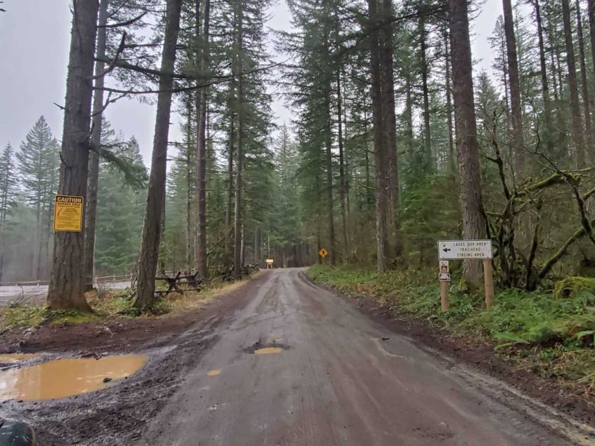 Abbott Road 4610 photo 4