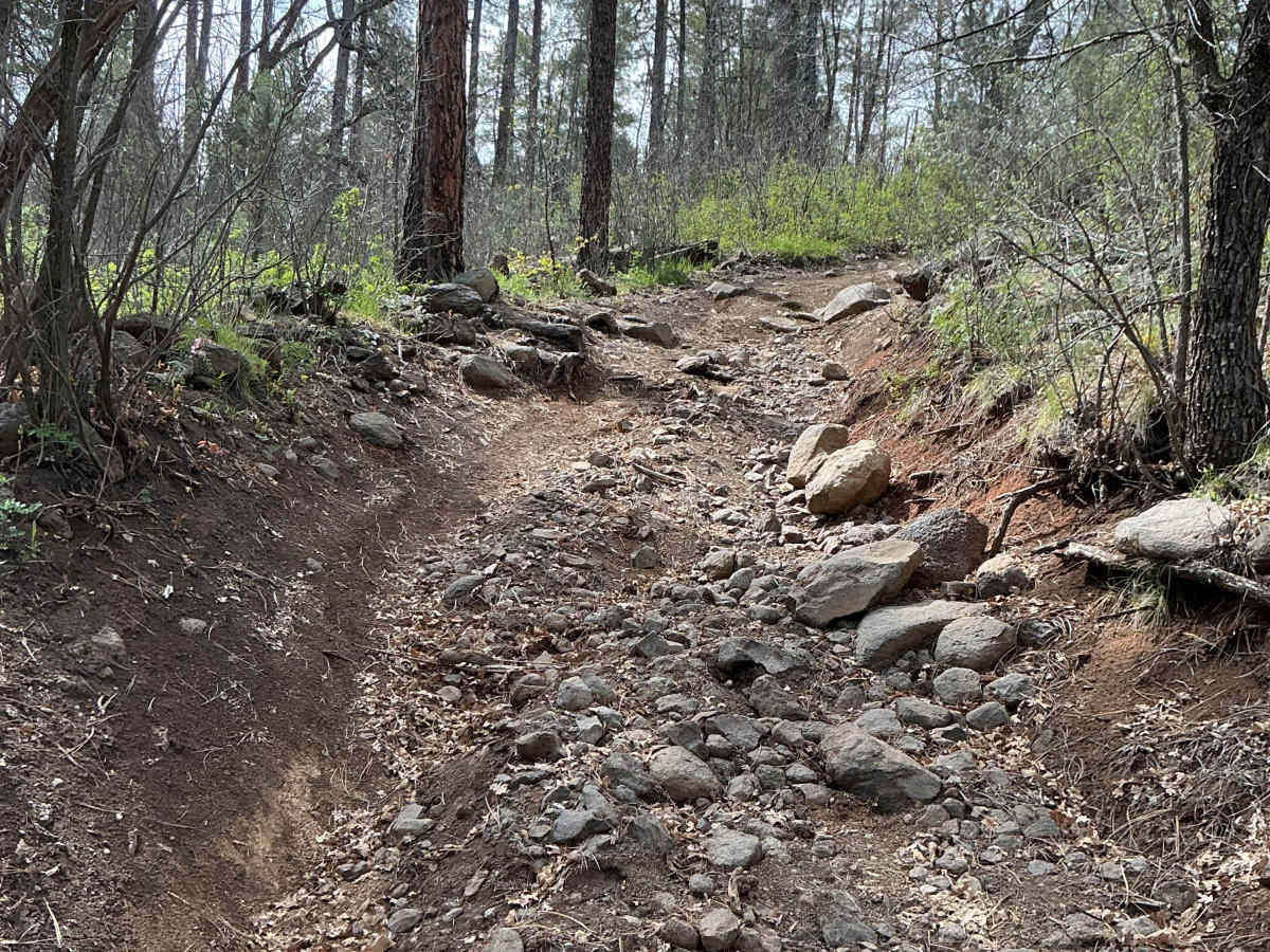 FS 9246R trail photo