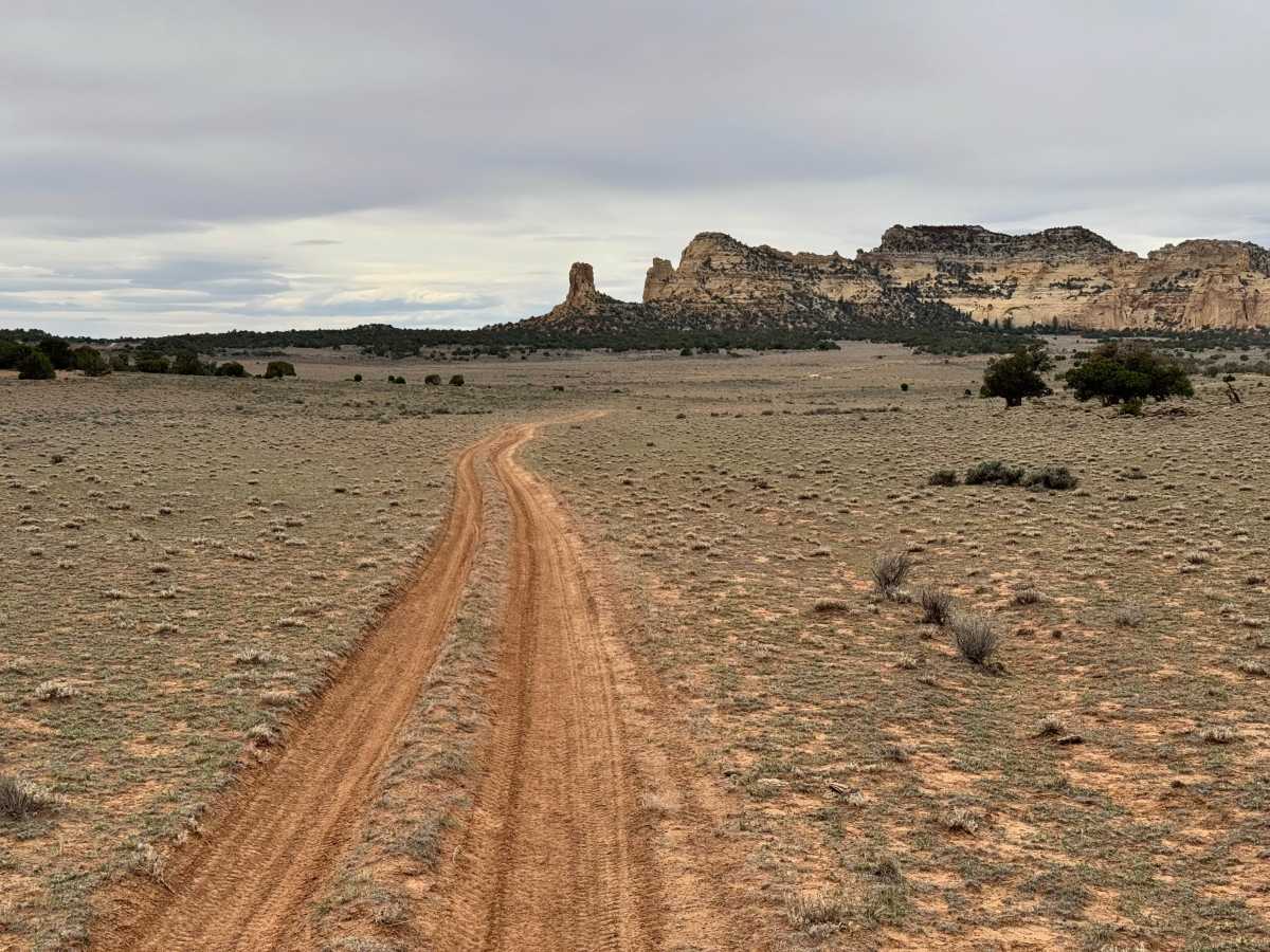 BLM 924 photo 5