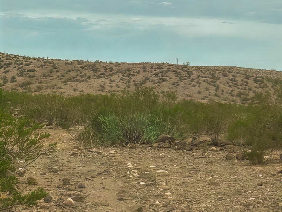 Pe1081 trail photo