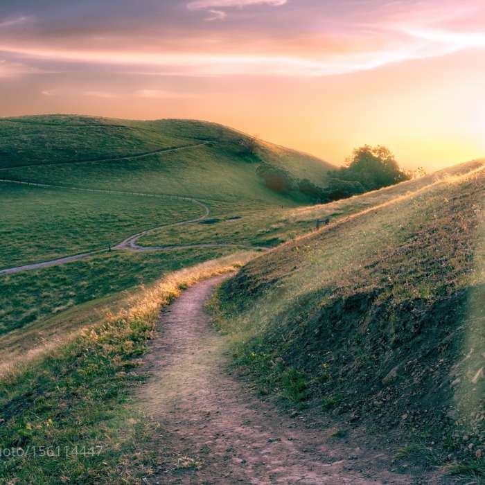 Near Sierra Vista Preserve Loop