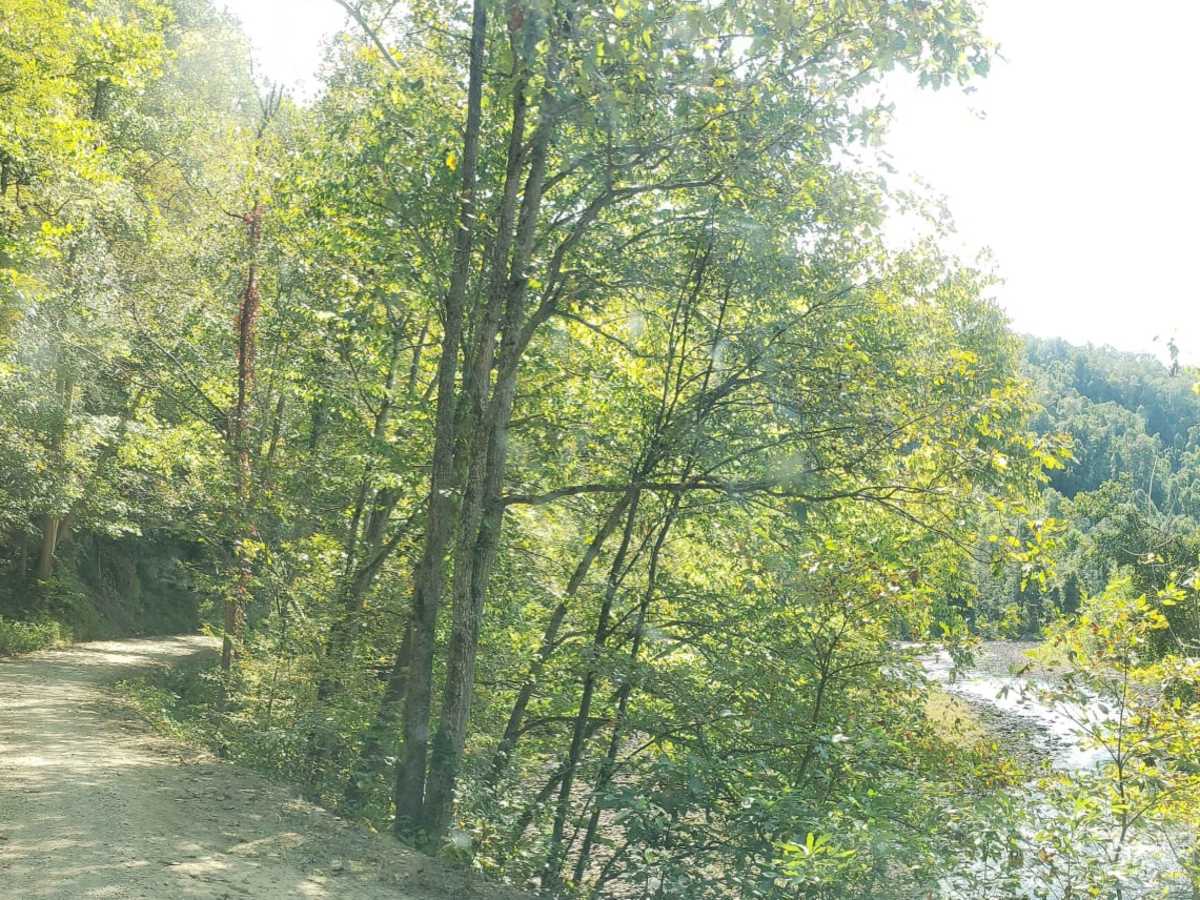 River Road photo 2