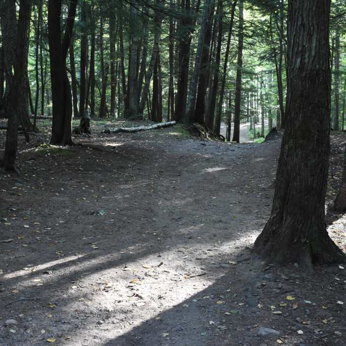 Near Wetmore Shoreline Trail Near Wetmore Shoreline Trail