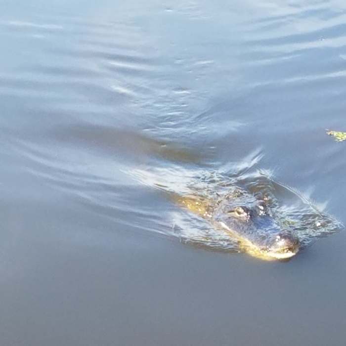 Near Sugar Mill Nature Trail