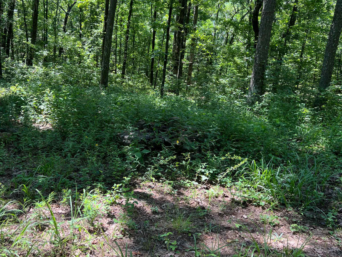 Log Bypass - FS 93202C photo 3