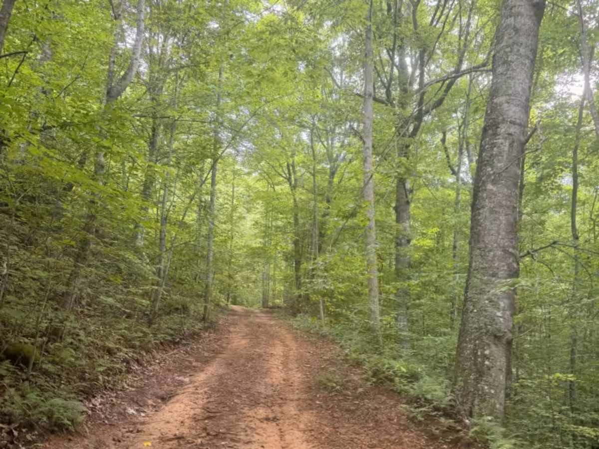 5-A trail photo
