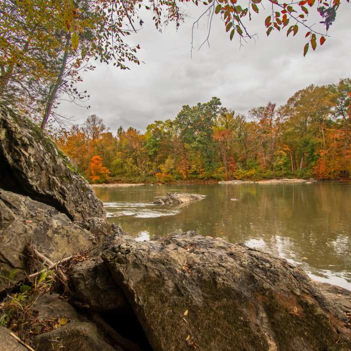 Near Lower Haw River State Natural Area