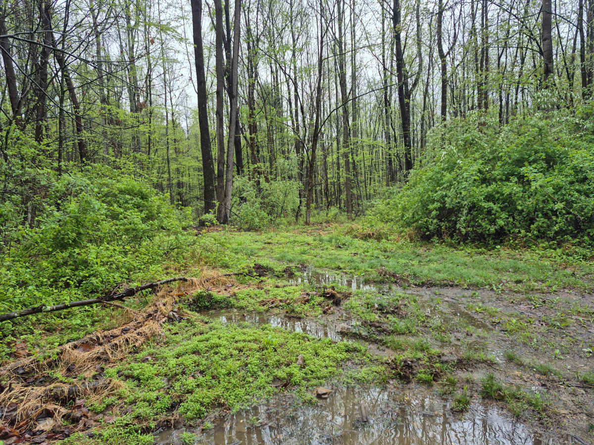 Rock Spring Trail photo 4