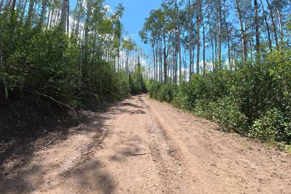 Fawn Creek Road