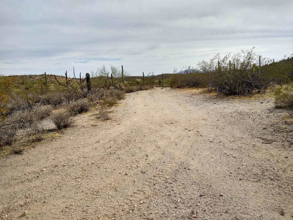 Davis Pathway trail photo