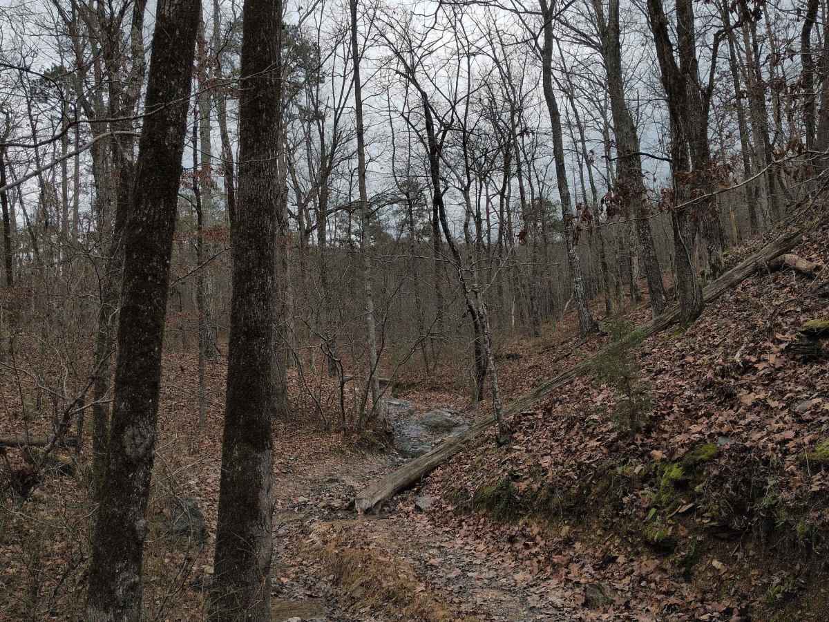 F47 Shaffner's Hollow photo 4