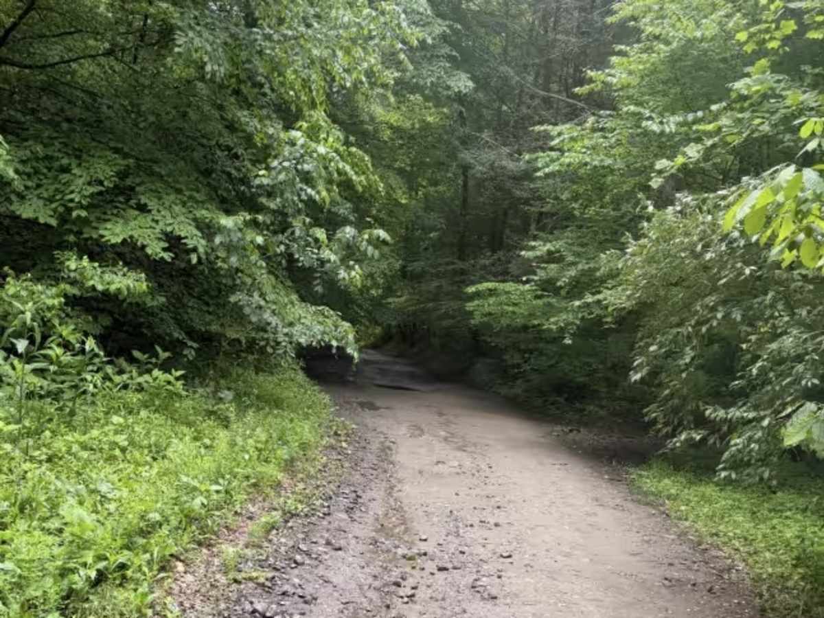 The Rocket Boys Trail photo 4