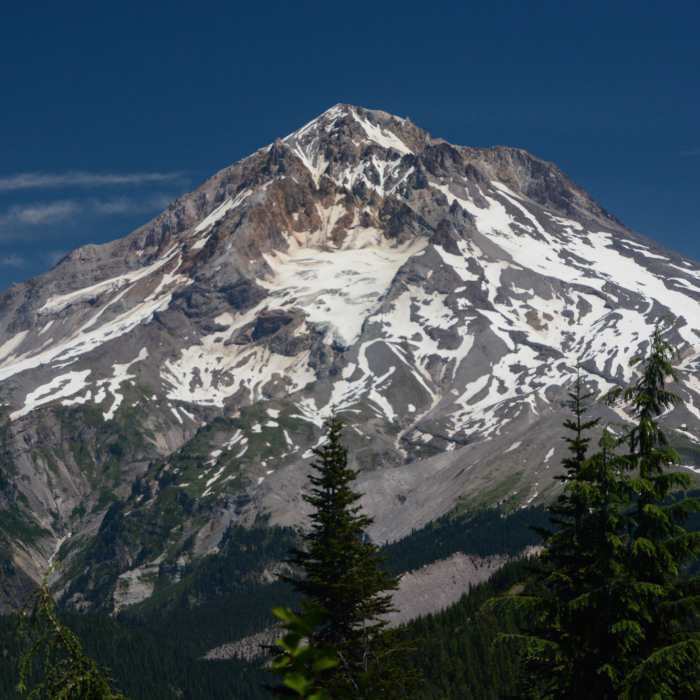 Near Zigzag Mountain Trail #775