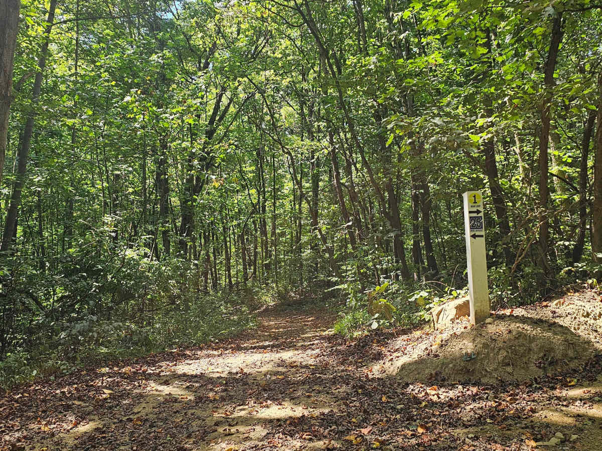 Trail 25 trail photo
